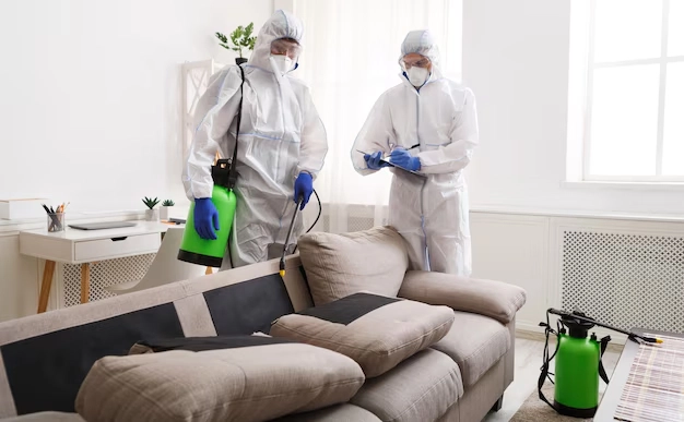 افضل شركه مكافحة حشرات بتبوك